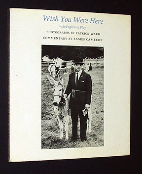 Imagen de archivo de Wish you were here: The English at play a la venta por ThriftBooks-Dallas
