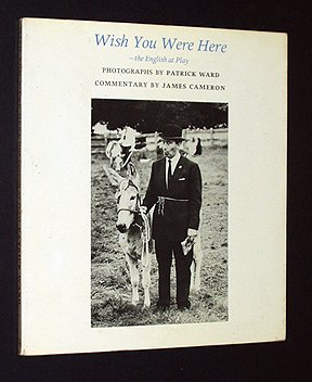 Stock image for Wish you were here: The English at play for sale by PAPER CAVALIER US