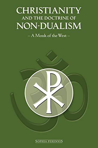 Beispielbild fr Christianity and the Doctrine of Non-Dualism zum Verkauf von ThriftBooks-Atlanta