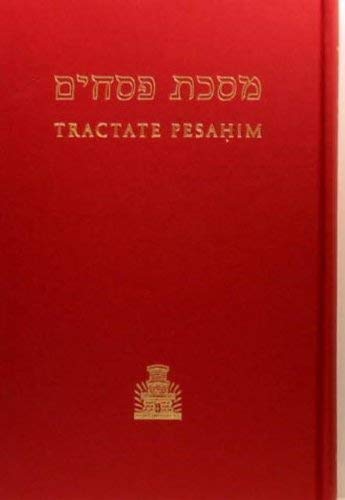 Stock image for Tractate Pesahim for sale by Amazing Books Pittsburgh