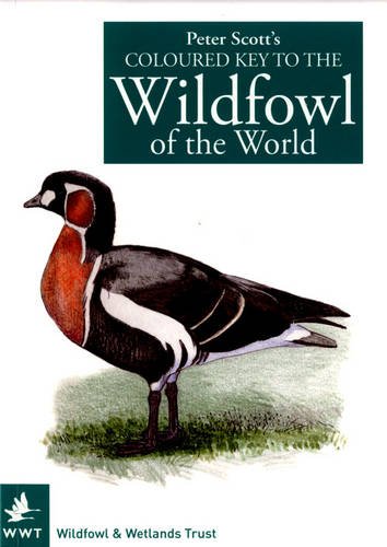 Stock image for Peter Scott's Coloured Key to the Wildfowl of the World for sale by WorldofBooks