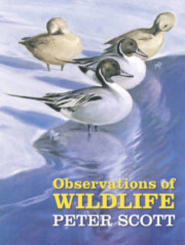 Stock image for Observations of Wildlife for sale by WorldofBooks