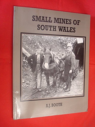 9780901096876: Small Mines of South Wales: Volume I