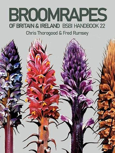 Stock image for Broomrapes of Britain & Ireland: 22 (BSBI Handbook) for sale by Summerfield Books BA