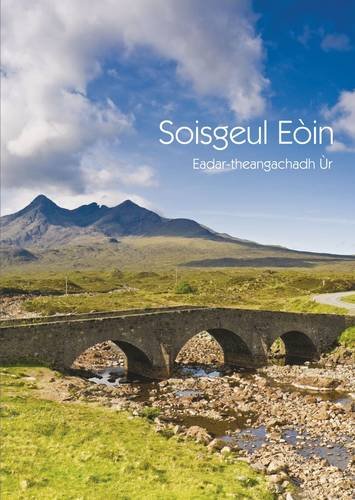 Stock image for New Gaelic Gospel John for sale by WorldofBooks