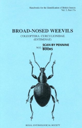 9780901546791: Broad-nosed weevils: Coleoptera: curculionidae (entiminae) (Handbooks for the identification of British Insects)