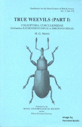 9780901546838: Coleoptera: Curculionidae (subfamilies Raymondionyminae to Smicronychinae) (Pt. 1)