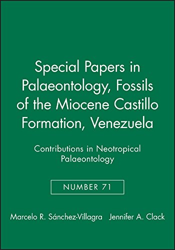 Imagen de archivo de Fossils of the Castillo Formation, Venezuela: Contributions in Neotropical Palaeontology (Special Papers in Palaeontology) a la venta por Orbiting Books