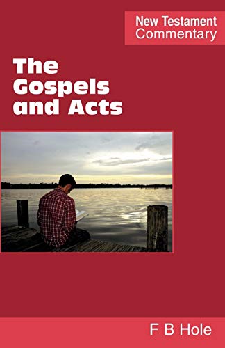 Stock image for The Gospels and Acts for sale by Lucky's Textbooks