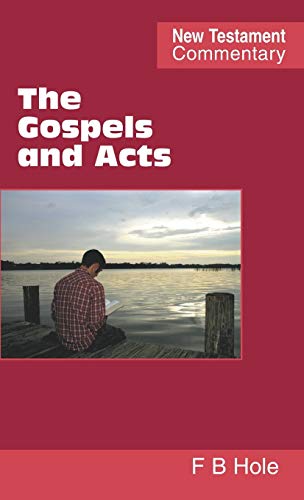 Stock image for The Gospels and Acts for sale by Lucky's Textbooks