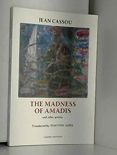 9780902400887: The Madness of Amadis and Other Poems