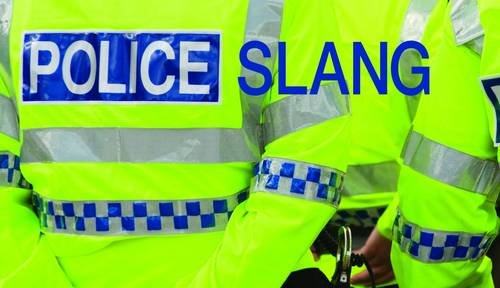 Stock image for Police Slang for sale by GreatBookPrices