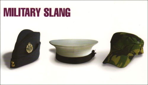 Imagen de archivo de Military Slang a la venta por WorldofBooks