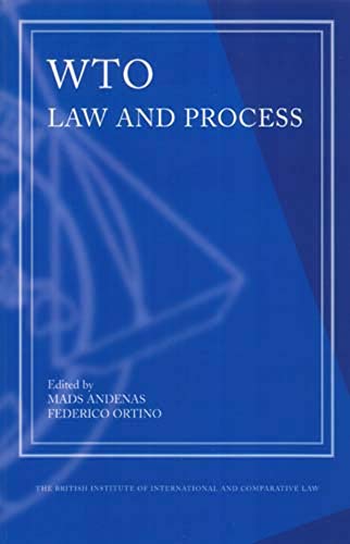 Imagen de archivo de WTO Law and Process a la venta por Redux Books