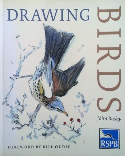 Drawing Birds (Draw Books) (9780903138215) by Busby, John