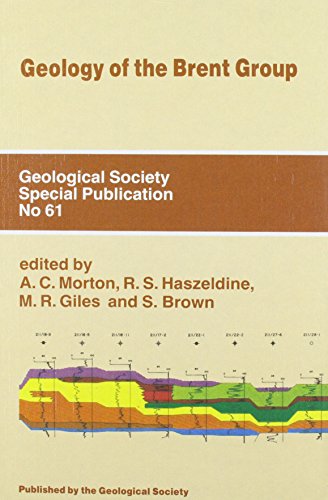 Imagen de archivo de Geology of the Brent Group a la venta por Better World Books