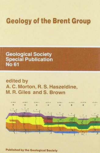 Stock image for Geology of the Brent Group for sale by Better World Books