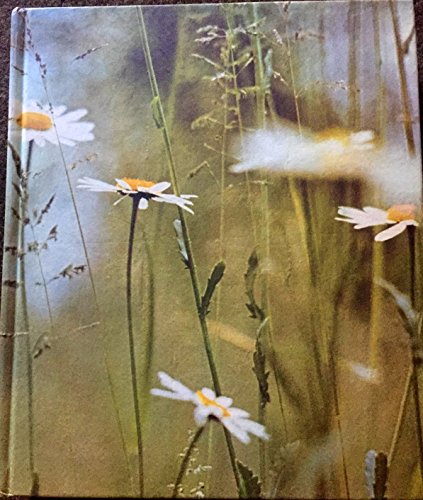 Beispielbild fr AA Book of the British Countryside zum Verkauf von AwesomeBooks