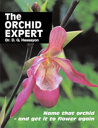 Imagen de archivo de The Orchid Expert a la venta por SecondSale