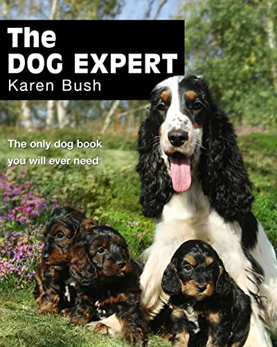 Stock image for The Dog Expert for sale by Better World Books