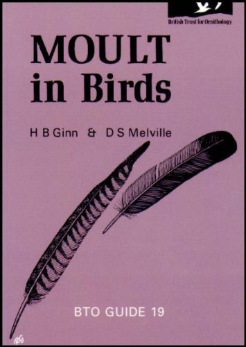 9780903793025: Moult in Birds: 19 (BTO Guides)