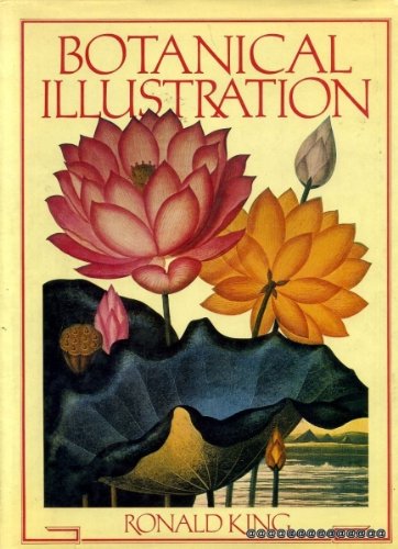 Imagen de archivo de Botanical Illustration a la venta por Lion Books PBFA