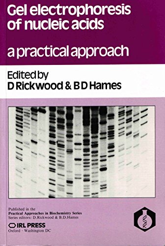 Beispielbild fr Gel Electrophoresis of Nucleic Acids: A Practical Approach (The Practical Approach Series) zum Verkauf von Wonder Book