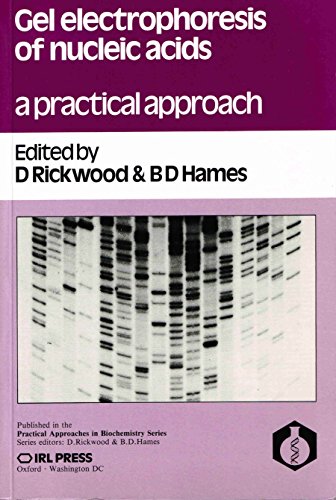 Stock image for Gel Electrophoresis of Nucleic Acids: A Practical Approach (The Practical Approach Series) for sale by Wonder Book