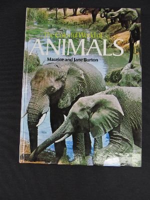 Beispielbild fr The colourful world of animals zum Verkauf von AwesomeBooks