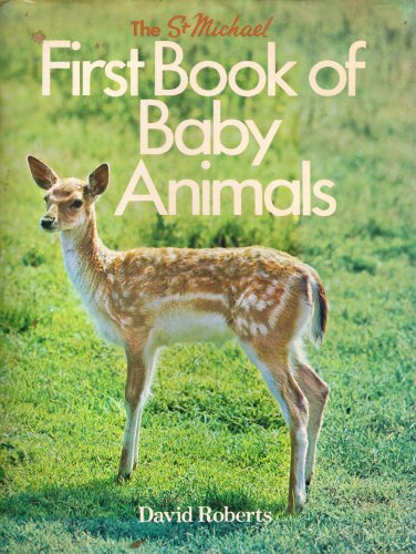 Stock image for First Book of Baby Animals for sale by AwesomeBooks