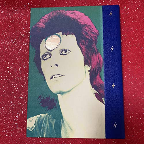 Beispielbild fr Moonage Daydream The Life and Times of Ziggy Stardust zum Verkauf von Massmann Art and Fine Books GmbH