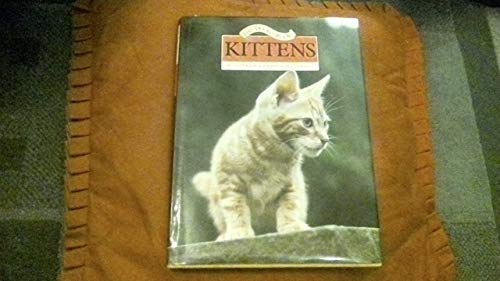 Stock image for The Treasury of Kittens for sale by medimops