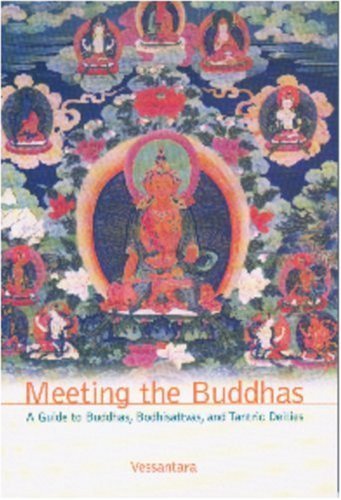 Imagen de archivo de Meeting the Buddhas a Guide to Buddhas, Bodhisattvas, and Tantric Deities a la venta por Daedalus Books