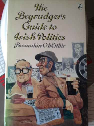 Beispielbild fr The Begruder's Guide to Irish Politics zum Verkauf von Wonder Book