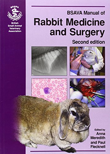 Imagen de archivo de BSAVA Manual of Rabbit Medicine and Surgery a la venta por dsmbooks