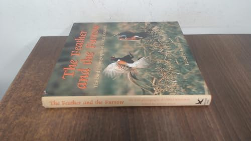 Stock image for The Feather and the Furrow: The Bird Photographs of Chris Knights for sale by AwesomeBooks