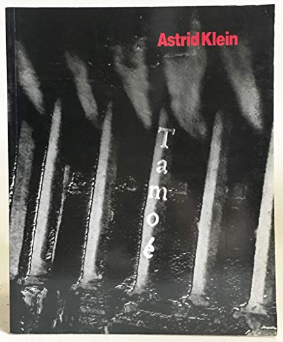 Imagen de archivo de Astrid Klein Photoworks 1984-1989 a la venta por David's Books