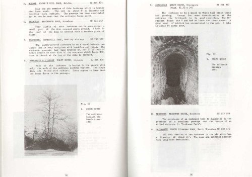 Beispielbild fr Ice and Icehouses Through the Ages: With a Gazetteer for Hampshire zum Verkauf von WorldofBooks