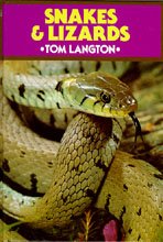 9780905483771: Snakes and Lizards (British Natural History Series)