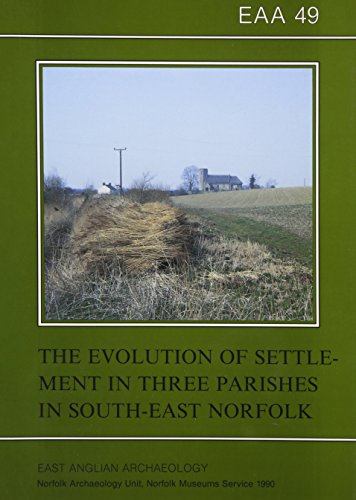 The Evolution of Settlement in Three Parishes in South-East Norfolk (East Anglian Archaeology Monograph) (9780905594026) by Davison, Alan