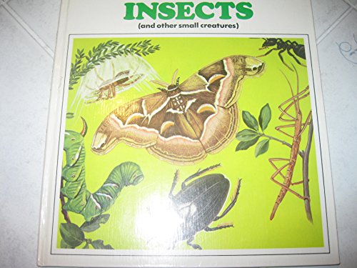 Looking After Insects (and other small creatures)