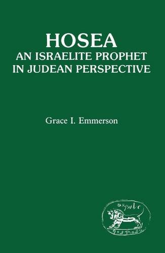 Imagen de archivo de Hosea: An Israelite Prophet in Judean Perspective (Journal for the Study of the Old Testament. Supplement Series, 28) a la venta por BookOrders