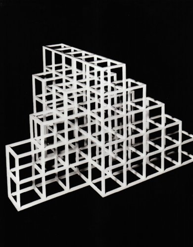 Imagen de archivo de Lewitt Sol : Structures, 1962-1993 a la venta por Better World Books Ltd