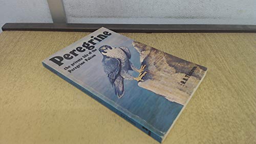 Imagen de archivo de Peregrine : The Private Life of the Peregrine Falcon a la venta por WorldofBooks