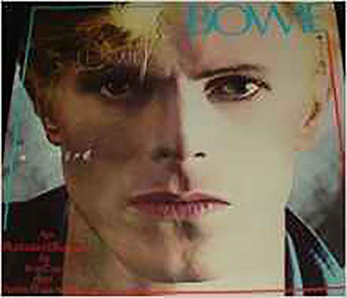 9780906008256: David Bowie: An Illustrated Record