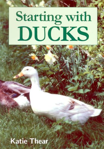 Beispielbild fr Starting with Ducks zum Verkauf von medimops