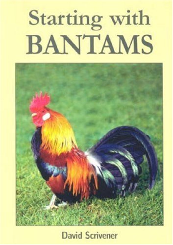 Beispielbild fr STARTING WITH BANTAMS. By David Scrivener. zum Verkauf von Coch-y-Bonddu Books Ltd