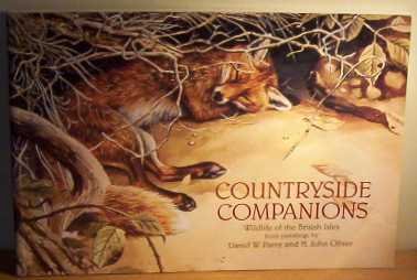 Beispielbild fr Countryside Companions: Wildlife of the British Isles zum Verkauf von Reuseabook