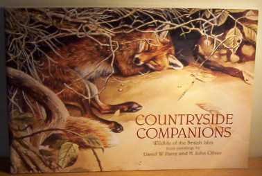 9780906198933: Countryside Companion: Wildlife of the British Isles