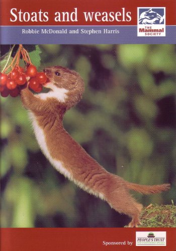 Stock image for Stoats and Weasels for sale by Blackwell's